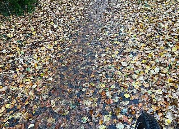 2_Egelser_Strasse_im_November_2023
