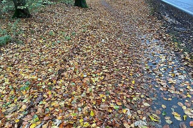 Egelser_Strasse_im_November_2023