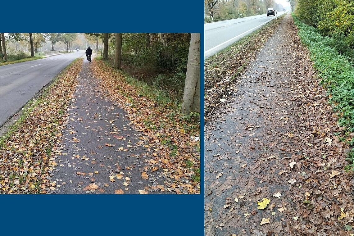 Foto_von_Anfang_November_2022__links__und_November_2023__rechts