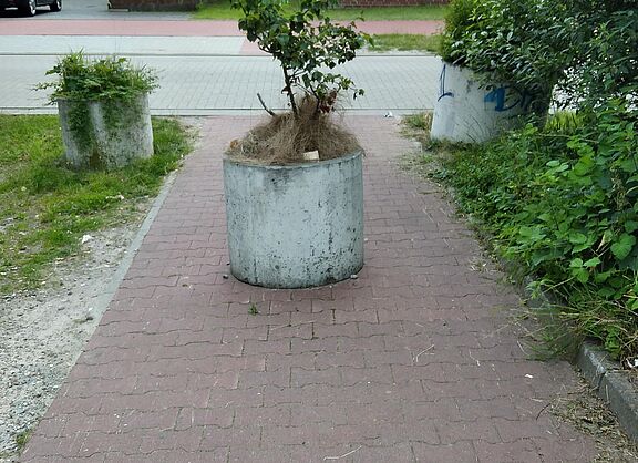 Weg mit Betonkübel - Blick in Wohngebiet